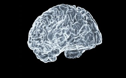 Illustration de la rubrique Neurologie cerveau