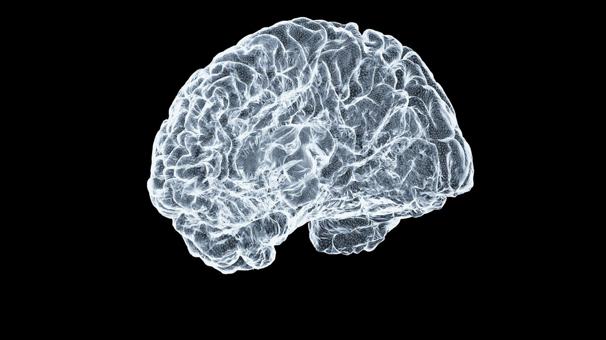Crise convulsive : ce qui distingue observation, sécurité et diagnostic